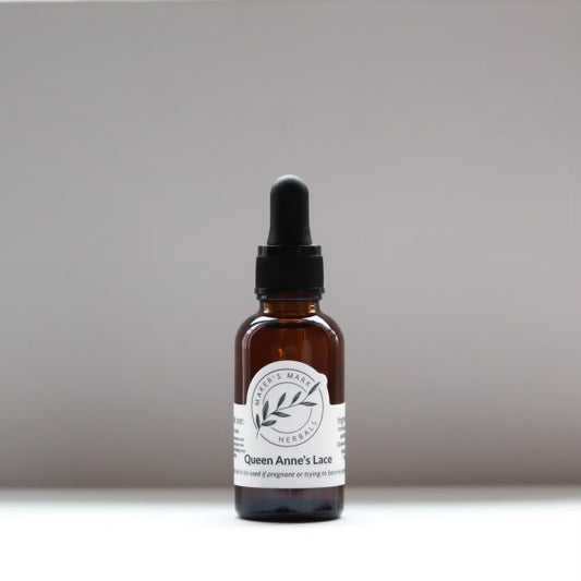 Queen Anne’s Lace